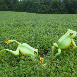 Beechwood Metal Frogs Art