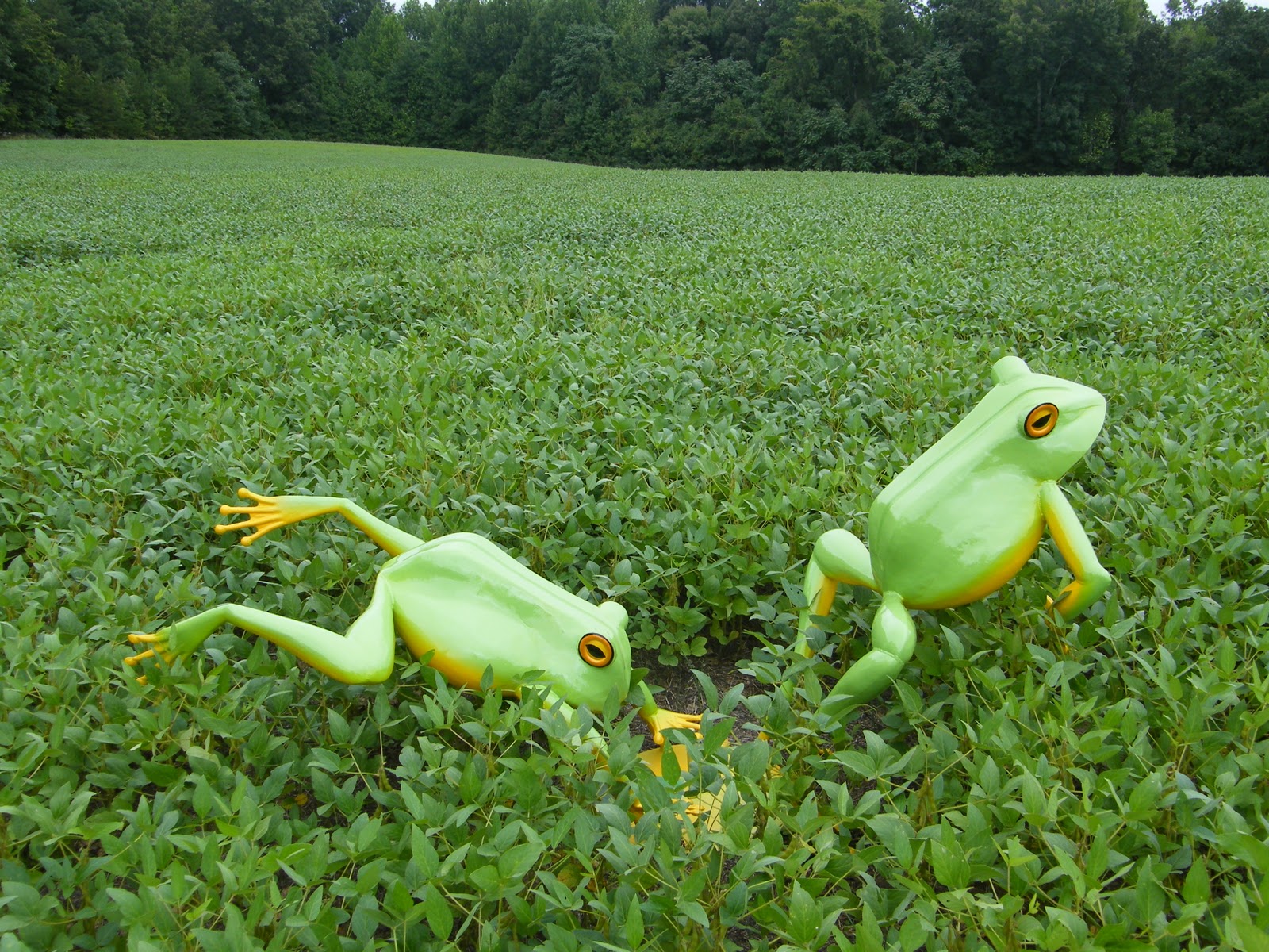 Beechwood Metal Frogs Art
