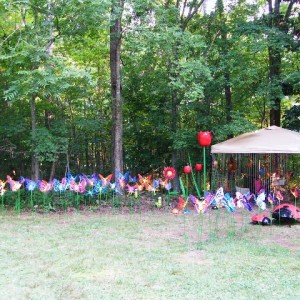 eno 2008