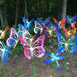 eno 2008 butterflies