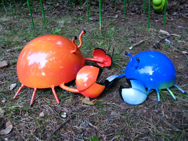 eno 2008 crabs