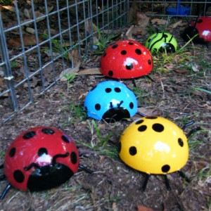 eno 2008 ladybugs