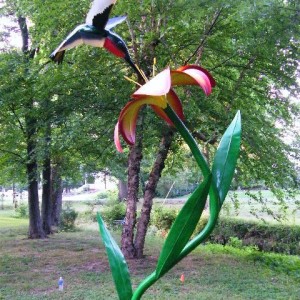 flowers at willow walk and city park
