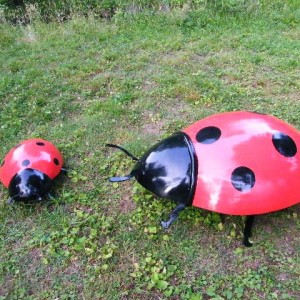 ladybugs at willow walk and city park