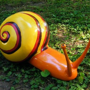 snail at willow walk and city park