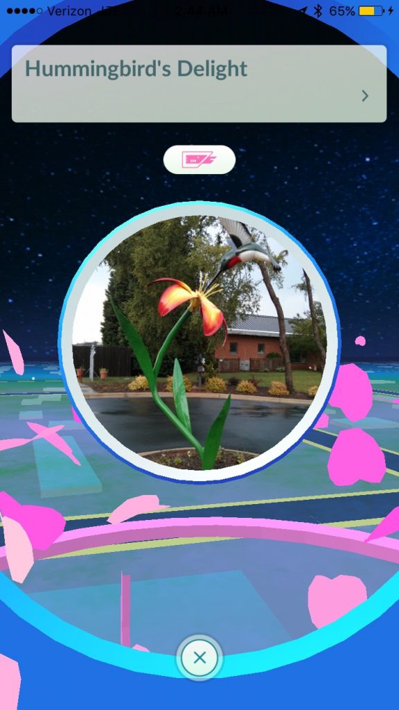 how to find a pokestop hummingbird