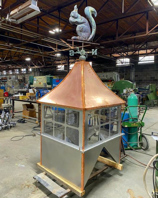 repaired cupula