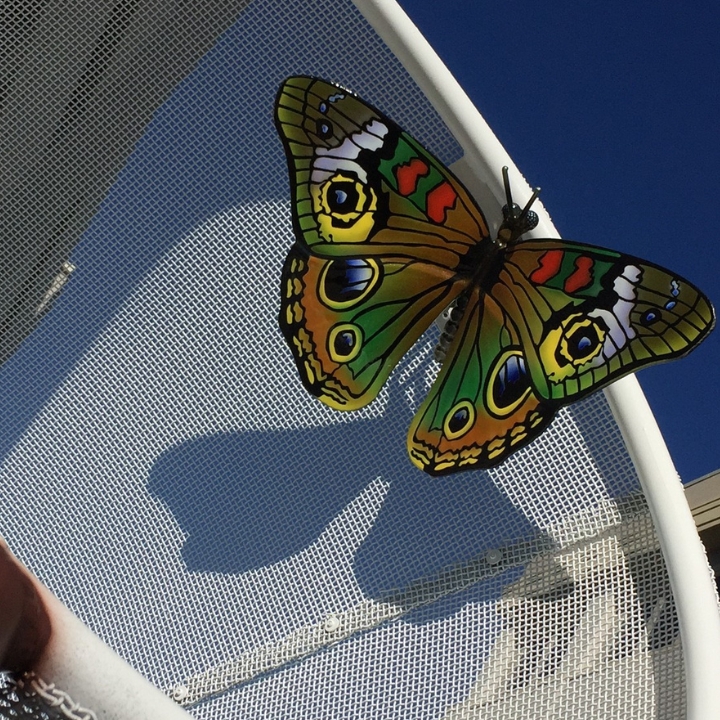butterfly art children hospital