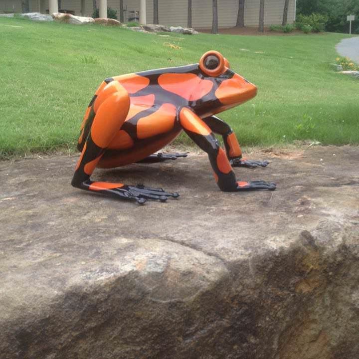 frog at woodruff