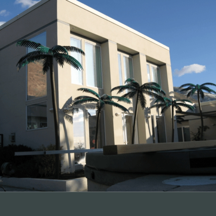 residence outdoor palm tree