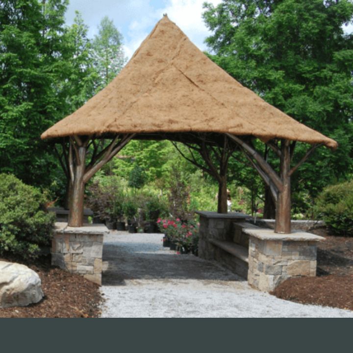 tree arbor kiefer