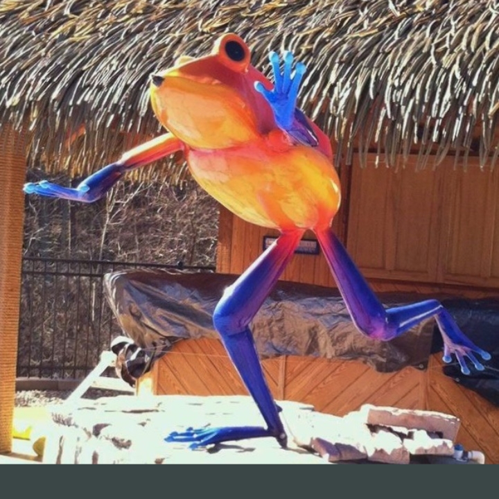 whimsical frog fountain