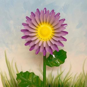 2 ' daisy beechwood