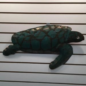 copper seaturtle side view