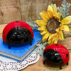 ladybug