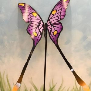 large comet moth butterfly