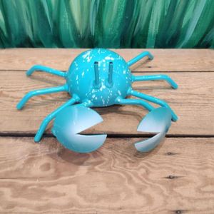 large crab beach art