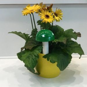 medium mushroom art