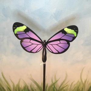 small glasswing butterfly