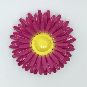 wall flower beechwood